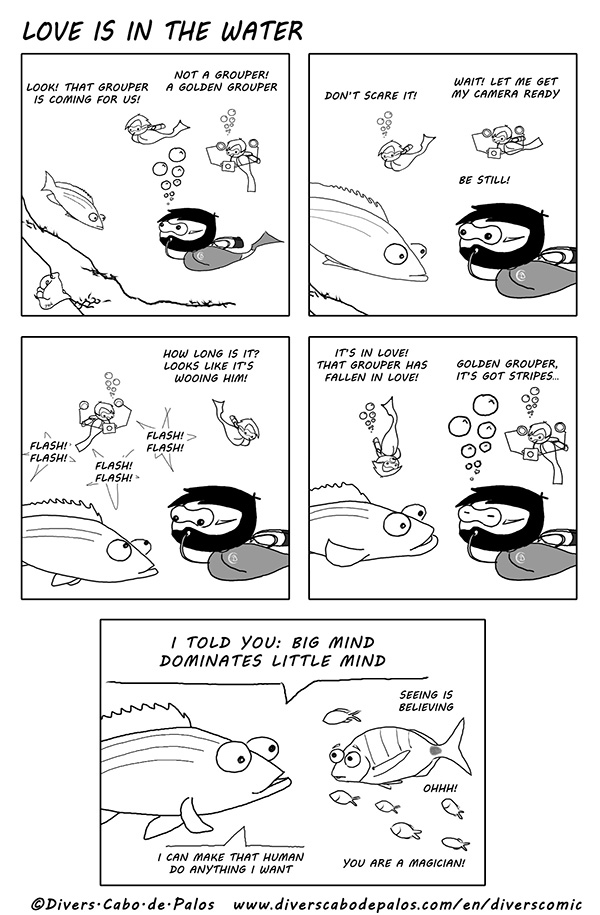 Love is in the water - Divers' Comic