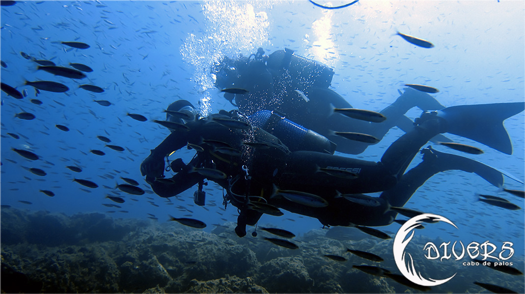 Sorteo de 10 inmersiones en Divers Cabo de Palos - 1 & 1/2 Aniversario